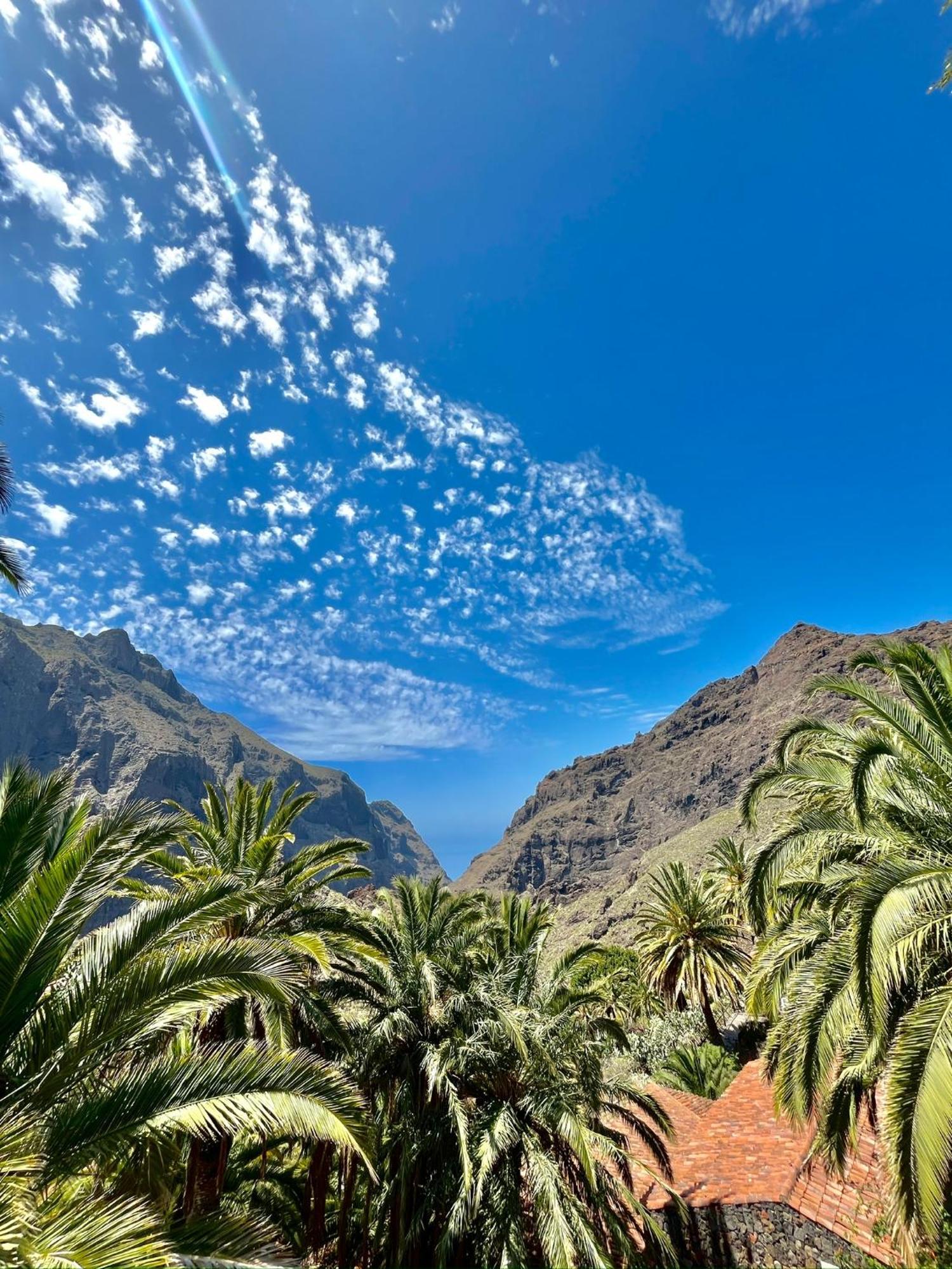 Tenerife Playa La Arena Puerto de Santiago  Exteriör bild